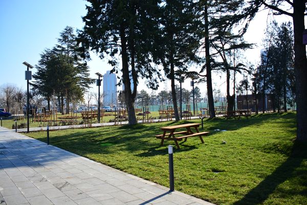 Bakanlık Parkı'nda çam ağaçları arasındaki çim alan ve piknik masaları