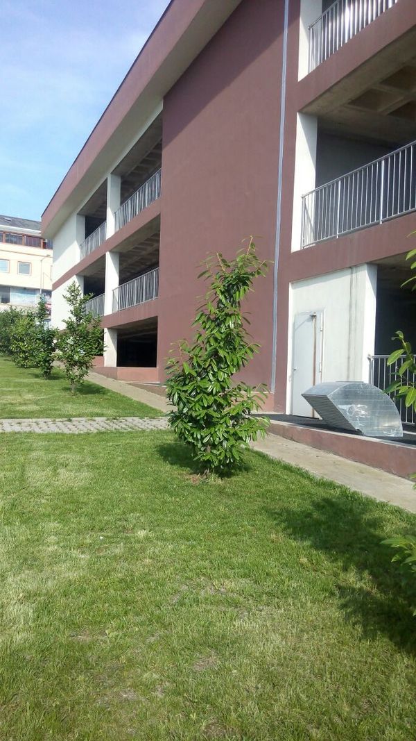 Yapı çevresi ve peyzaj